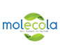 Molecola